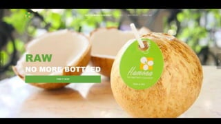 Hamona  Premium Coconuts