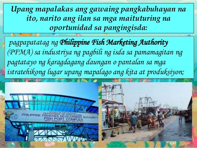 Hamon at oportunidad sa mga gawaing pangkabuhayan ng bansa