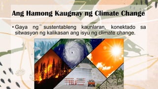 Ang Hamong Kaugnay ng Climate Change
• Gaya ng sustentableng kaunlaran, konektado sa
sitwasyon ng kalikasan ang isyu ng climate change.
 