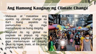 Ang Hamong Kaugnay ng Climate Change
• Malawak at masaklaw ang
epekto ng climate change sa
iba’t ibang aspekto ng
pamumuhay ng mga
mamamayan sa buing daigdig.
• Nagdulot ito ng global na
pagtaas sa presyo ng mga
karaniwang pagkain o staple ng
mga mamamayan sa daigdig
gaya ng bigas, mais, at iba pang
pagkaing butil.
 