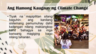 Ang Hamong Kaugnay ng Climate Change
• Tiyak na mapipilitan silang
baguhin ang kanilang
sistemang pamumuhay dahil
kailangan nilang makiangkop
kahit bahagya sa mga
bansang magiging bago
nilang tahanan.
 