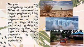 • Nariyan ang
matagalang tag-init (El
Niño) at malalakas na
bagyo, pagtaas ng tubig
dagat (sanhi ng
pagkatunaw ng mga
yelo sa hilaga at timog
na bahagi ng daigdig),
paglubog ng ilang mga
lugar sa tabing dagat,
pagkasira ng mga
produktong pang
agrikultura.
 