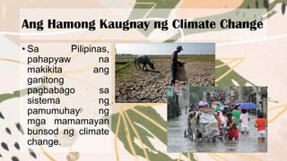 Ang Hamong Kaugnay ng Climate Change
• Sa Pilipinas,
pahapyaw na
makikita ang
ganitong
pagbabago sa
sistema ng
pamumuhay ng
mga mamamayan
bunsod ng climate
change.
 