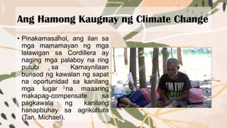 Ang Hamong Kaugnay ng Climate Change
• Pinakamasahol, ang ilan sa
mga mamamayan ng mga
lalawigan sa Cordillera ay
naging mga palaboy na ring
pulubi sa Kamaynilaan
bunsod ng kawalan ng sapat
na oportunidad sa kanilang
mga lugar na maaaring
makapag-compensate sa
pagkawala ng kanilang
hanapbuhay sa agrikultura
(Tan, Michael).
 