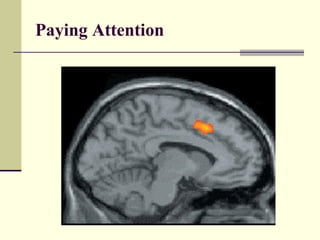 Paying Attention 