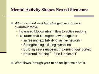 Mental Activity Shapes Neural Structure   What you think and feel changes your brain  in numerous ways:  Increased blood/nutrient flow to active regions “ Neurons that fire together wire together.” Increasing excitability of active neurons Strengthening existing synapses Building new synapses; thickening your cortex Neuronal “pruning” - “use it or lose it” What flows through your mind sculpts your brain.  