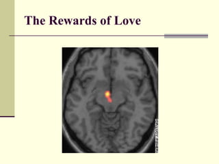 The Rewards of Love 