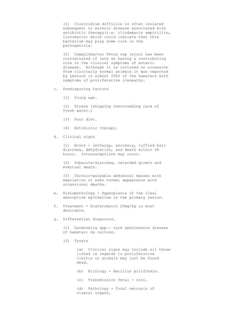 (1) Clostridium difficile is often isolated
     subsequent to enteric disease associated with
     antibiotic therapy(i.e. clindamycin ampicillin,
     lincomycin) which could indicate that this
     bacterium may play some role in the
     pathogenisis.

     (2) Campylobacter Fetus ssp jejuni has been
     incriminated of late as having a contributing
     role in the clinical symptoms of enteric
     disease. Although it is cultured on occassion
     from clinically normal animals it was reported
     by Lentsch in almost 100% of the hamsters with
     symptoms of proliferative ileopathy.

c.   Predisposing factors

     (1)   Young age.

     (2) Stress (shipping overcrowding lack of
     fresh water.)

     (3)   Poor diet.

     (4)   Antibiotic therapy.

d.   Clinical signs

     (1) Acute - lethargy, anorexia, ruffled hair
     diarrhea, dehydration, and death within 48
     hours. Intussuceptions may occur.

     (2) Subacute-diarrhea, retarded growth and
     eventual death.

     (3) Chronic-palpable abdominal masses with
     emaciation or even normal appearance with
     occassional deaths.

e.   Histopathology - Hyperplasia of the ileal
     absorptive epithelium is the primary lesion.

f.   Treatment - Erythromycin 20mg/kg is most
     desirable.

g.   Differential diagnosis.

     (1) Salmonella spp.- rare spontaneous disease
     of hamster; Dx culture.

     (2)   Tyzers

            (a) Clinical signs may include all those
            listed in regards to proliferative
            ileitis or animals may just be found
            dead.

            (b)   Etiology - Bacillus piliformis.

            (c)   Transmission fecal - oral.

            (d) Pathology - focal necrosis of
            viseral organs.
 