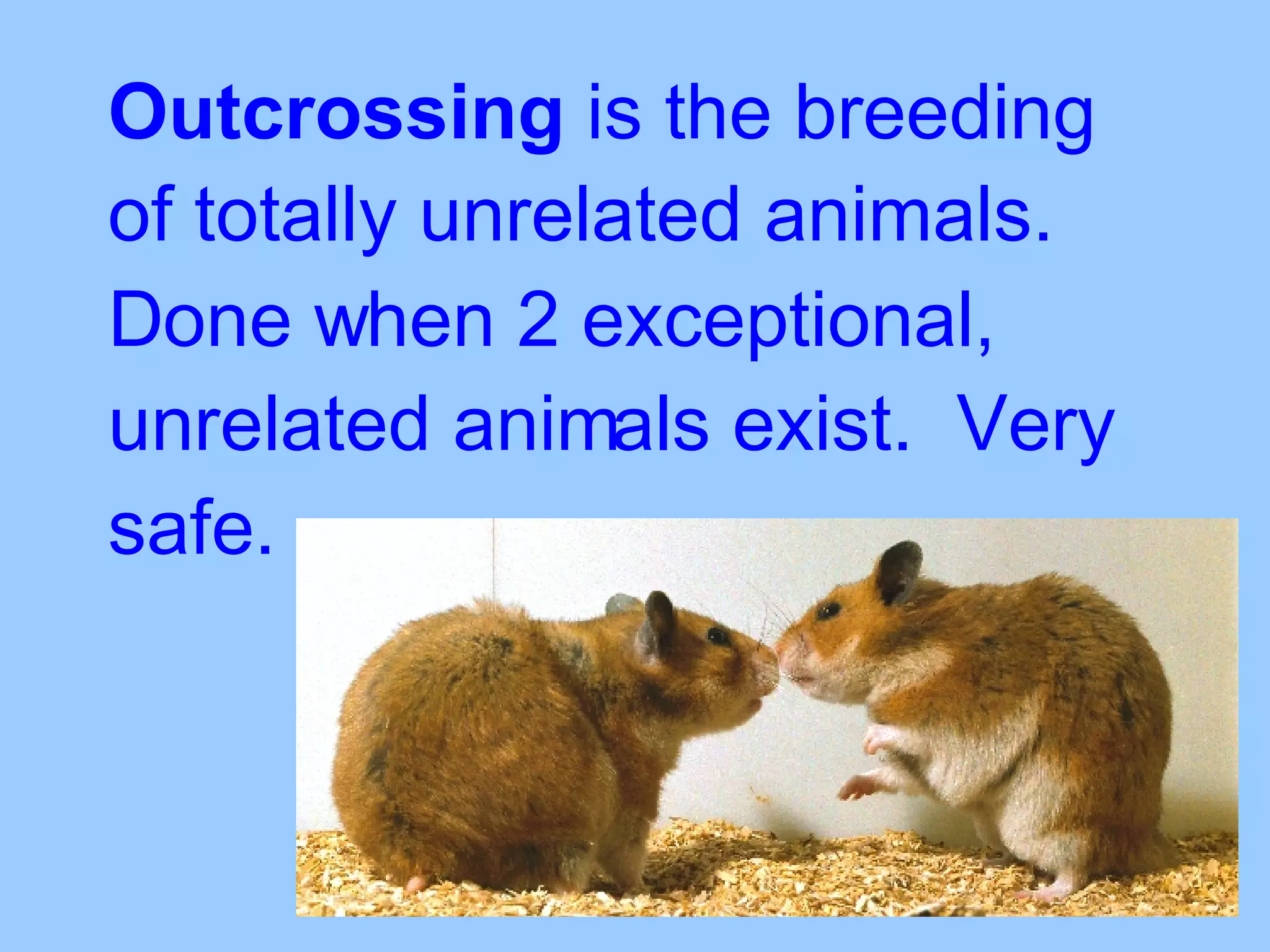 Outcrossing  is the breeding of totally unrelated animals.   Done when 2 exceptional, unrelated animals exist.  Very safe. 