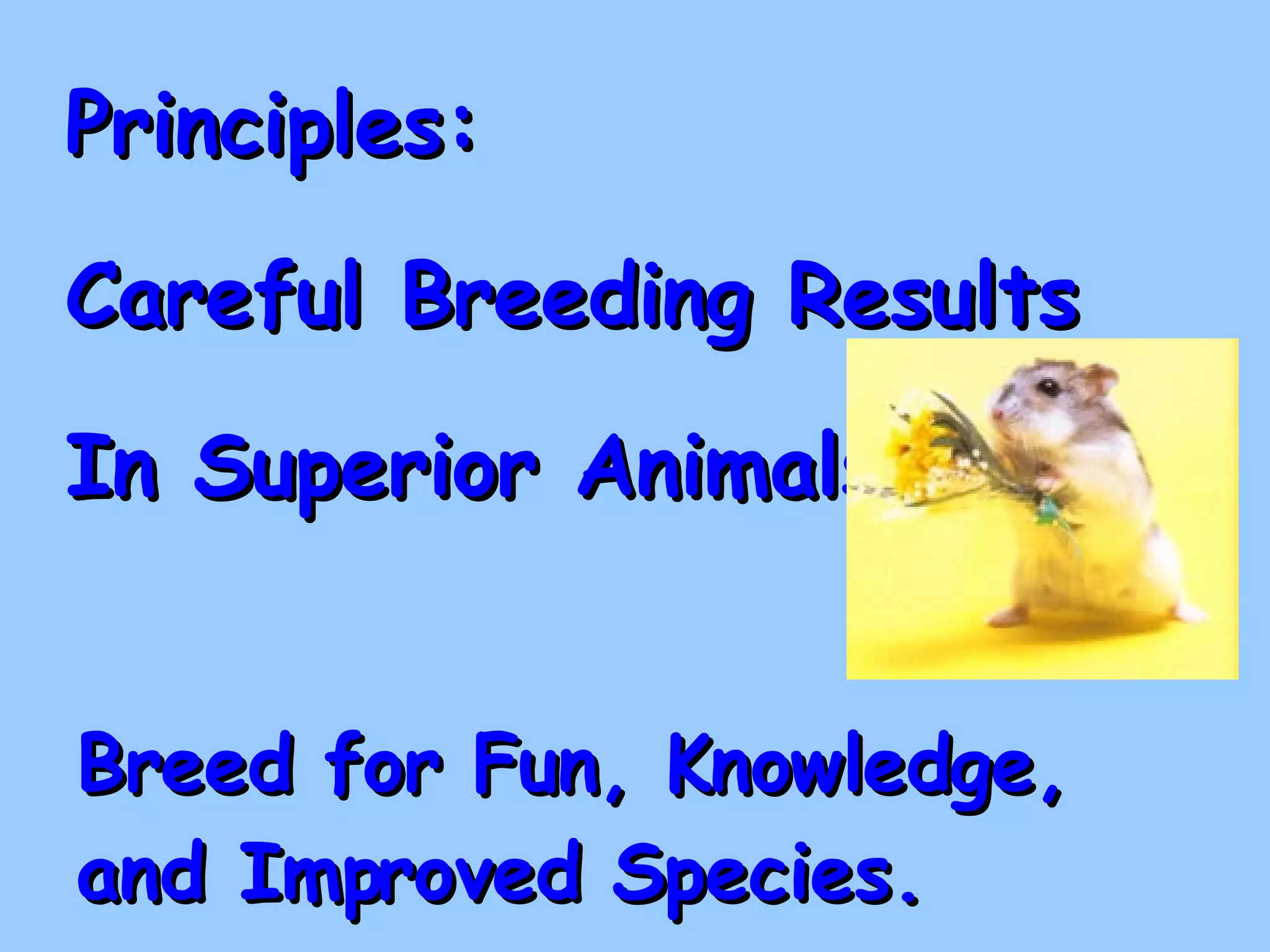 Principles: Careful Breeding Results  In Superior Animals! Breed for Fun, Knowledge, and Improved Species. 