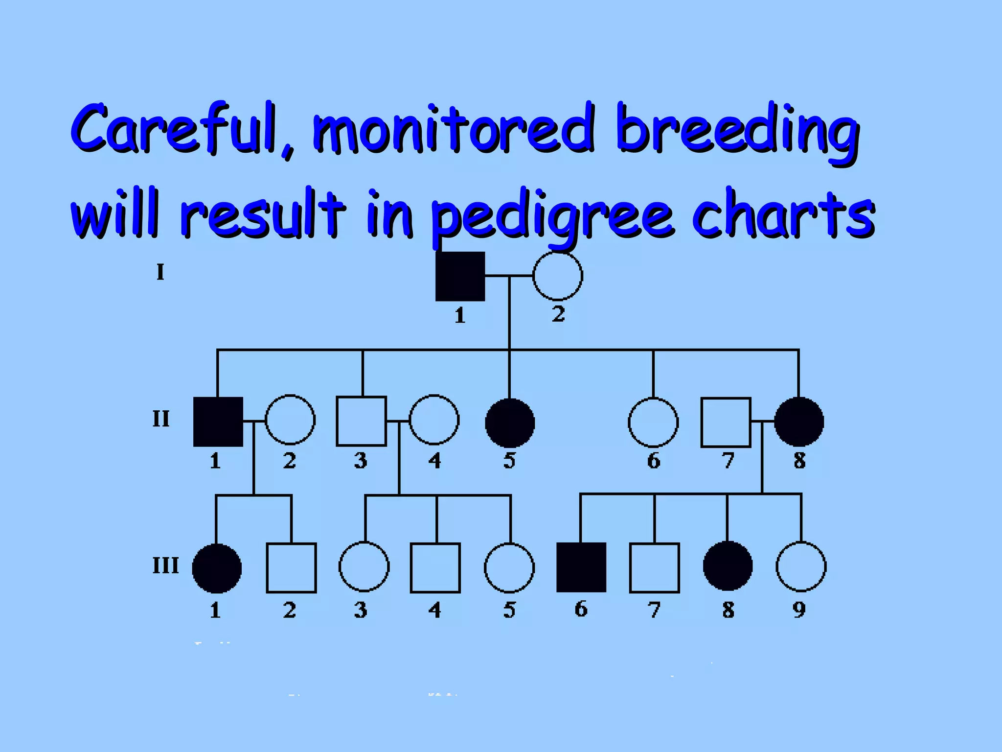 Careful, monitored breeding will result in pedigree charts 