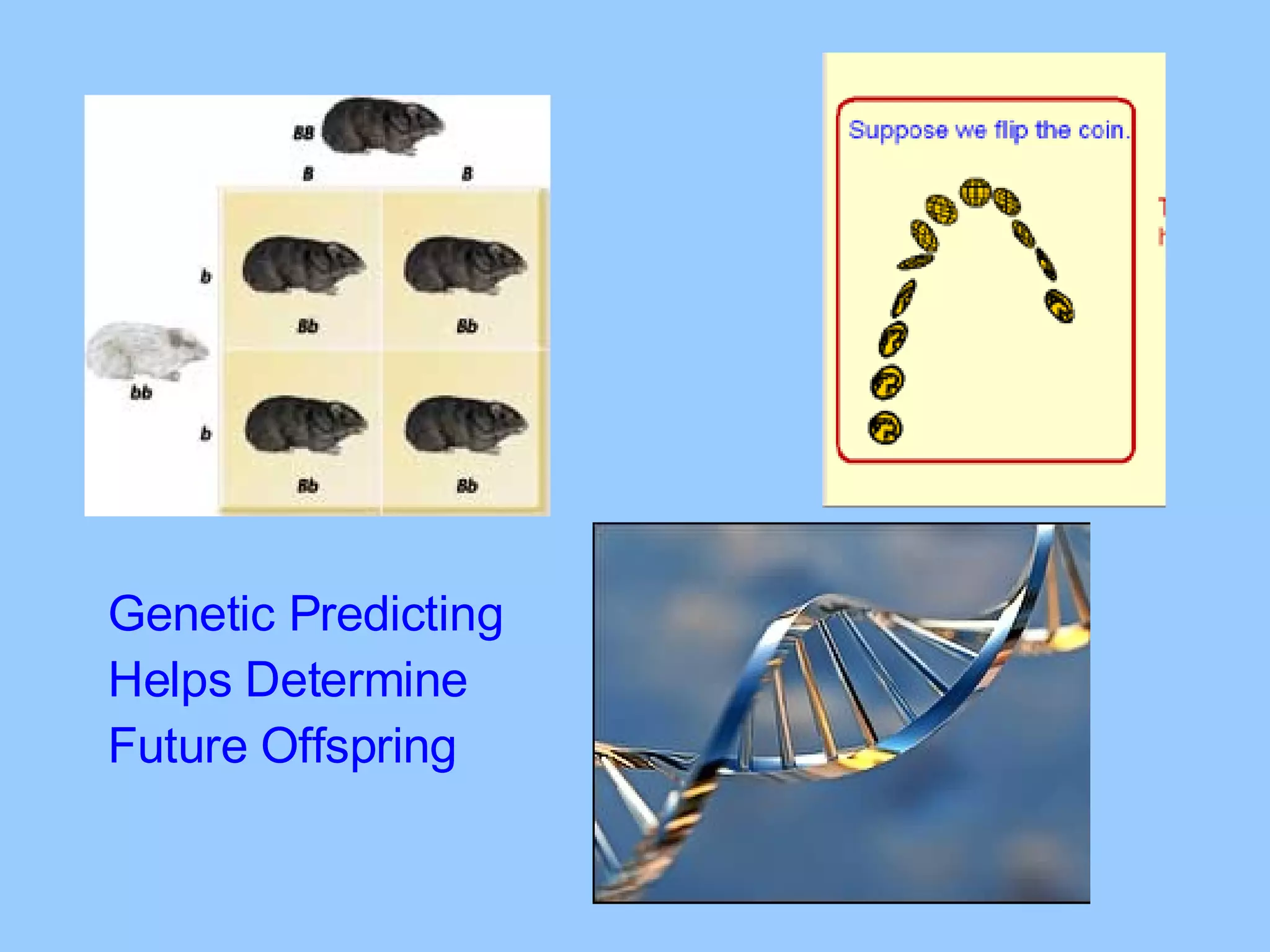 Genetic Predicting Helps Determine Future Offspring 