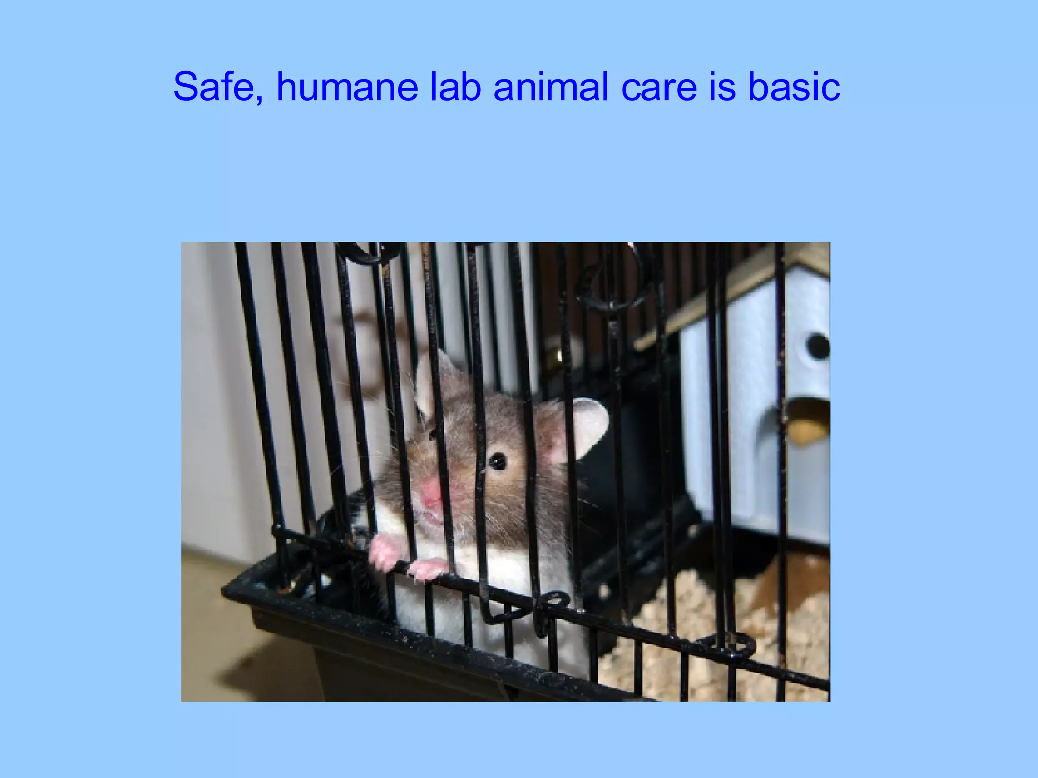 Safe, humane lab animal care is basic 