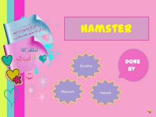 Hamster Done by  Sheikha Maryam Hanadi 