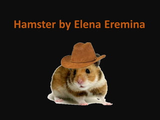 by ANNA
Hamster by Elena Eremina
 