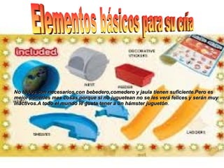 No todos son necesarios,con bebedero,comedero y jaula tienen suficiente.Pero esNo todos son necesarios,con bebedero,comedero y jaula tienen suficiente.Pero es
mejor ponerles mas cosas,porque si no juguetean no se les verá felices y serán muymejor ponerles mas cosas,porque si no juguetean no se les verá felices y serán muy
inactivos.A todo el mundo le gusta tener a un hámster juguetóninactivos.A todo el mundo le gusta tener a un hámster juguetón.
 