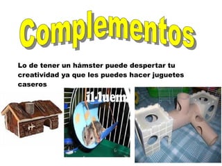 Lo de tener un hámster puede despertar tu
creatividad ya que les puedes hacer juguetes
caseros
 