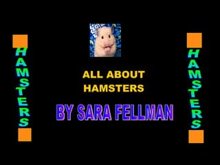 ALL ABOUT HAMSTERS BY SARA FELLMAN HAMSTERS HAMSTERS 