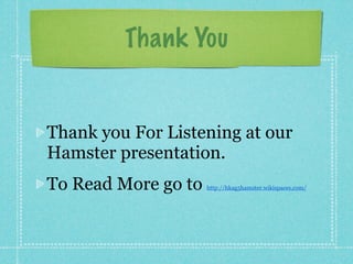 PPT - All About Hamsters PowerPoint Presentation, free download - ID:108105