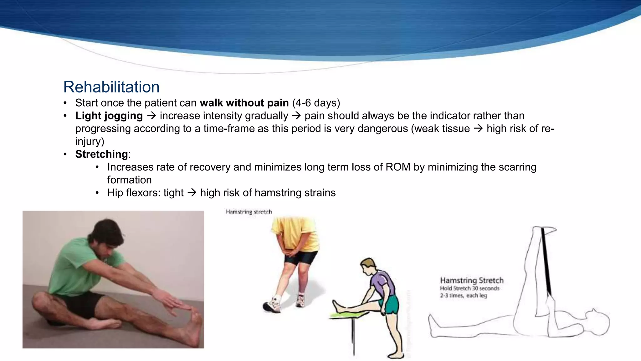 Rehabilitation
• Start once the patient can walk without pain (4-6 days)
• Light jogging  increase intensity gradually  pain should always be the indicator rather than
progressing according to a time-frame as this period is very dangerous (weak tissue  high risk of re-
injury)
• Stretching:
• Increases rate of recovery and minimizes long term loss of ROM by minimizing the scarring
formation
• Hip flexors: tight  high risk of hamstring strains
 