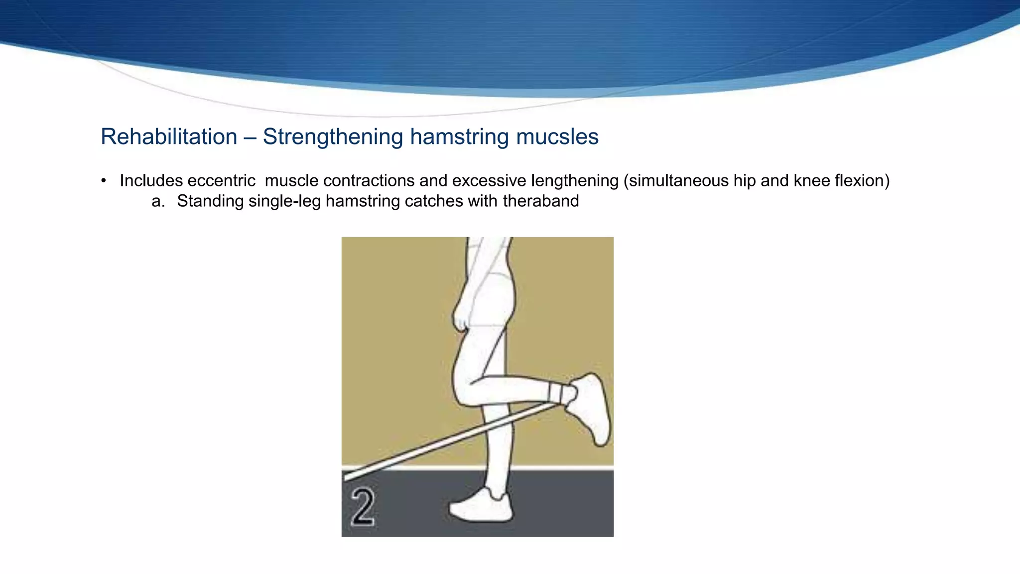 Rehabilitation – Strengthening hamstring mucsles
• Includes eccentric muscle contractions and excessive lengthening (simultaneous hip and knee flexion)
a. Standing single-leg hamstring catches with theraband
 