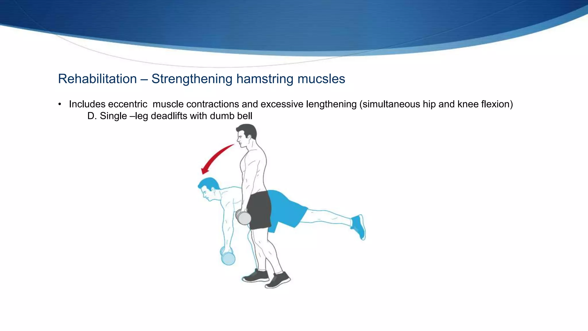 Rehabilitation – Strengthening hamstring mucsles
• Includes eccentric muscle contractions and excessive lengthening (simultaneous hip and knee flexion)
D. Single –leg deadlifts with dumb bell
 