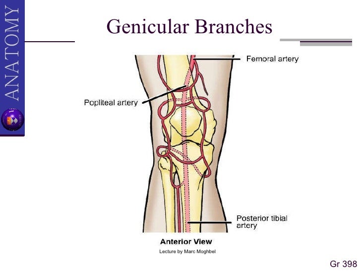 buy researching medical education 2015