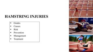 HAMSTRING INJURIES
 Grades
 Causes
 Risk
 Prevention
 Management
 Treatment
 