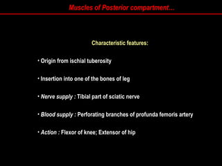 Muscles of Posterior compartment…
Characteristic features:
• Origin from ischial tuberosity
Origin from ischial tuberosity
• Insertion into one of the bones of leg
Insertion into one of the bones of leg
• Nerve supply :
Nerve supply : Tibial part of sciatic nerve
Tibial part of sciatic nerve
• Blood supply :
Blood supply : Perforating branches of profunda femoris artery
Perforating branches of profunda femoris artery
• Action :
Action : Flexor of knee; Extensor of hip
Flexor of knee; Extensor of hip
 