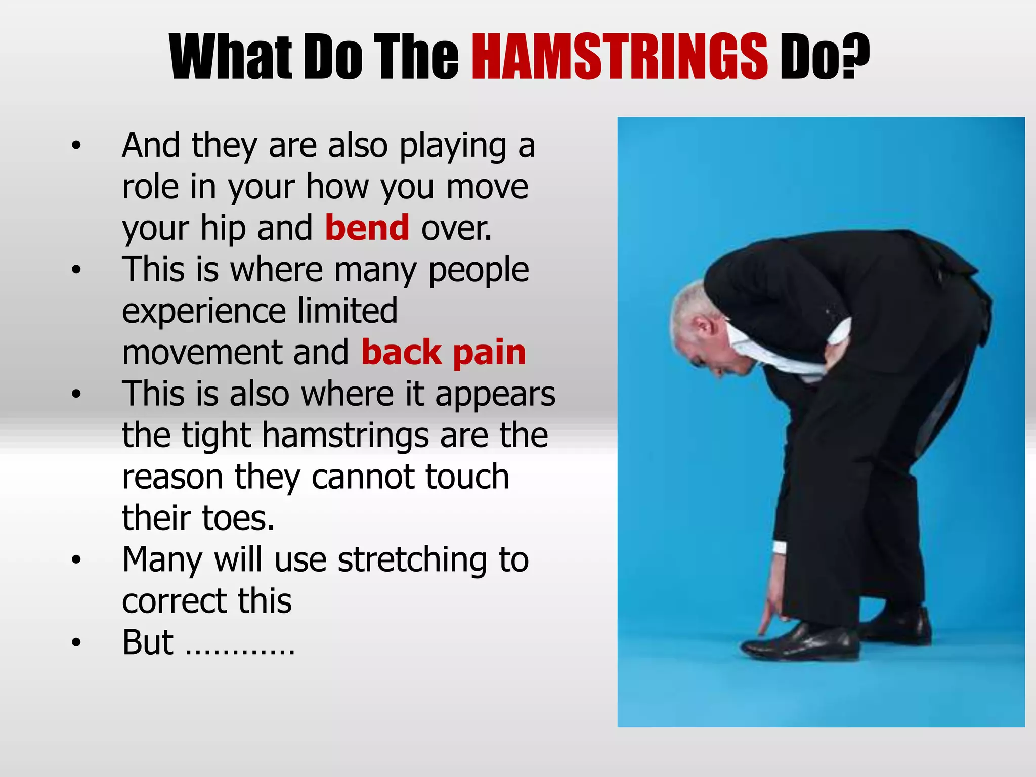 What Do The HAMSTRINGS Do?
• And they are also playing a
role in your how you move
your hip and bend over.
• This is where many people
experience limited
movement and back pain
• This is also where it appears
the tight hamstrings are the
reason they cannot touch
their toes.
• Many will use stretching to
correct this
• But …………
 