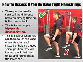 Understanding Hamstring Muscles & Their Role With Stability | PPTX