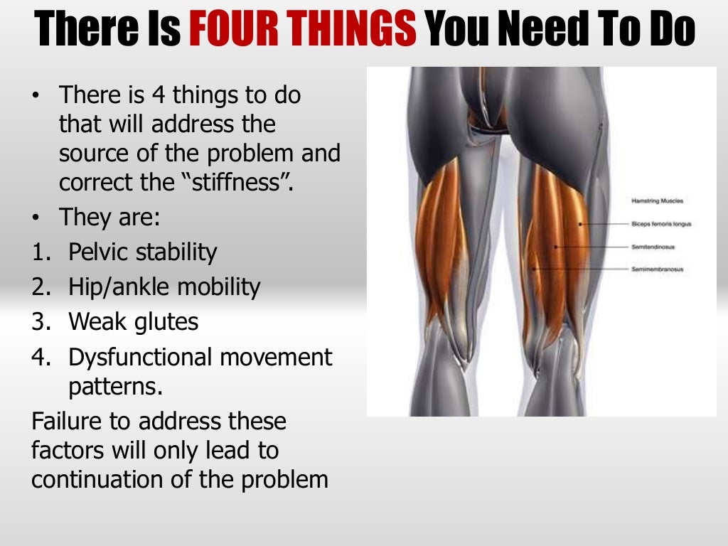 Understanding Hamstring Muscles & Their Role With Stability