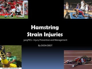 Hamstring
   Strain Injuries
3003PES – Injury Prevention and Management

              By DION OBST
 