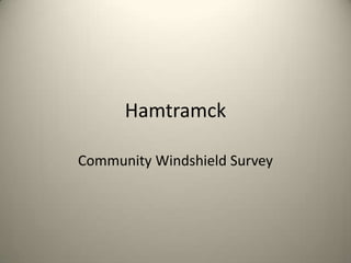 Hamtramck  Community Windshield Survey 