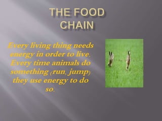 Every living thing needs
energy in order to live.
Every time animals do
something (run, jump)
they use energy to do
so.
 
