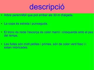 Hamza - Cristian - HIcham