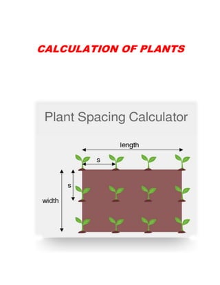 CALCULATION OF PLANTS
 