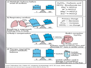 arterial blood gas analysis | PPTX