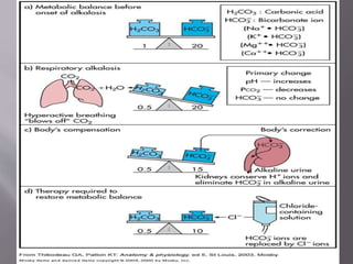 arterial blood gas analysis | PPTX