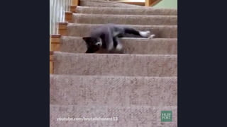 @crestodina #ufx2016
 