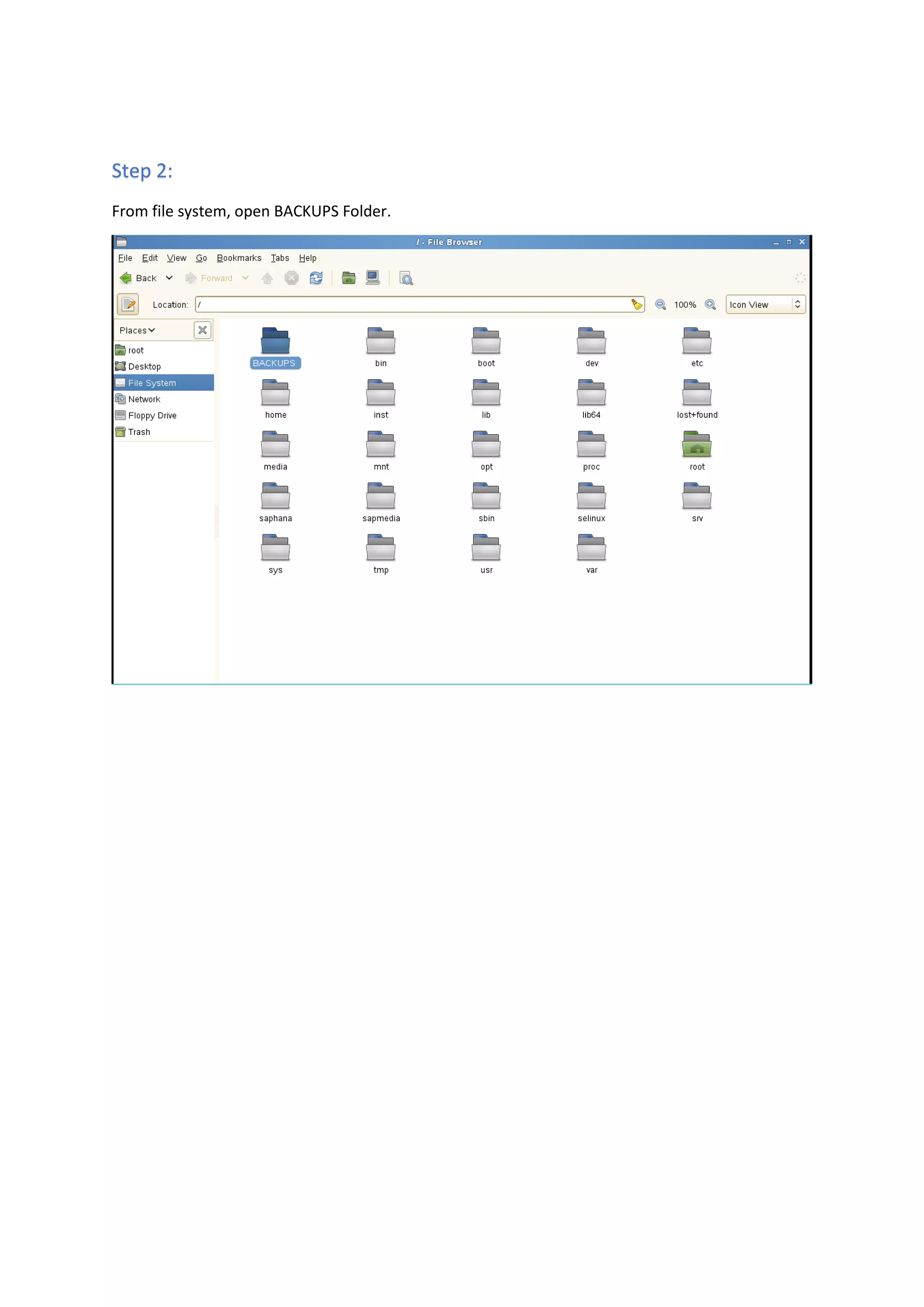 SAP Business One Hana backup | PDF