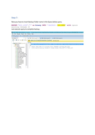 SAP Business One Hana backup | PDF