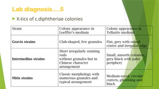 Lab diagnosis….5
 X-tics of c.diphtheriae colonies
Strain Colony appearance in
Loeffler’s medium
Colony appearance in
Tellurite medium
Gravis strains Club-shaped, few granules Flat, grey with raised
center and irregular edge
Intermedius strains
Short irregularly staining
rods
without granules but in
Chinese character
arrangement
Small, smooth colonies;
grey-black with paler
periphery
Mitis strains
Classic morphology with
numerous granules and
typical arrangement
Medium-sized, circular
convex, glistening and
black
 