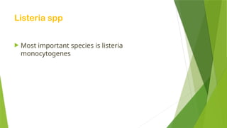 Listeria spp
 Most important species is listeria
monocytogenes
 