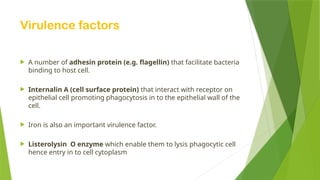 Virulence factors
 A number of adhesin protein (e.g. flagellin) that facilitate bacteria
binding to host cell.
 Internalin A (cell surface protein) that interact with receptor on
epithelial cell promoting phagocytosis in to the epithelial wall of the
cell.
 Iron is also an important virulence factor.
 Listerolysin O enzyme which enable them to lysis phagocytic cell
hence entry in to cell cytoplasm
 
