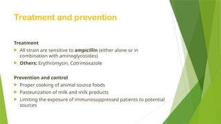 Treatment and prevention
Treatment
 All strain are sensitive to ampicillin (either alone or in
combination with aminoglycosides)
 Others: Erythromycin, Cotrimoxazole
Prevention and control
 Proper cooking of animal source foods
 Pasteurization of milk and milk products
 Limiting the exposure of immunosuppressed patients to potential
sources
 