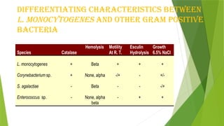 Differentiating Characteristics between
L. monocytogenes and Other Gram Positive
Bacteria
Species Catalase
Hemolysis Motility
At R. T.
Esculin
Hydrolysis
Growth
6.5% NaCl
L. monocytogenes
Corynebacterium sp.
S. agalactiae
Enterococcus sp.
+
+
-
-
Beta
None, alpha
Beta
None, alpha
beta
+
-/+
-
-
+
-
-
+
+
+/-
-/+
+
 
