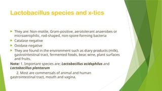 Lactobacillus species and x-tics
 They are: Non-motile, Gram-positive, aerotolerant anaerobes or
microaerophilic, rod-shaped, non-spore-forming bacteria
 Catalase negative
 Oxidase negative
 They are found in the environment such as diary products (milk),
gastrointestinal tract, fermented foods, bear, wine, plant surfaces
and fruits.
Note: 1. Important species are; Lactobacillus acidophilus and
Lactobacillus plantarum
2. Most are commensals of animal and human
gastrointestinal tract, mouth and vagina.
 