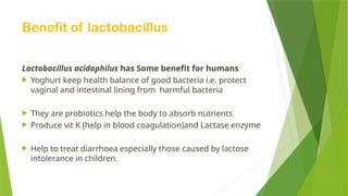 Benefit of lactobacillus
Lactobacillus acidophilus has Some benefit for humans
 Yoghurt keep health balance of good bacteria i.e. protect
vaginal and intestinal lining from harmful bacteria
 They are probiotics help the body to absorb nutrients
 Produce vit K (help in blood coagulation)and Lactase enzyme
 Help to treat diarrhoea especially those caused by lactose
intolerance in children.
 