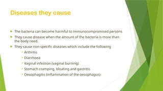 Diseases they cause
 The bacteria can become harmful to immunocompromised persons
 They cause disease when the amount of the bacteria is more than
the body need.
 They cause non-specific diseases which include the following
 Arthritis
 Diarrhoea
 Vaginal infection (vaginal burning)
 Stomach cramping, bloating and gastritis
 Oesophagitis (inflammation of the oesophagus)
 
